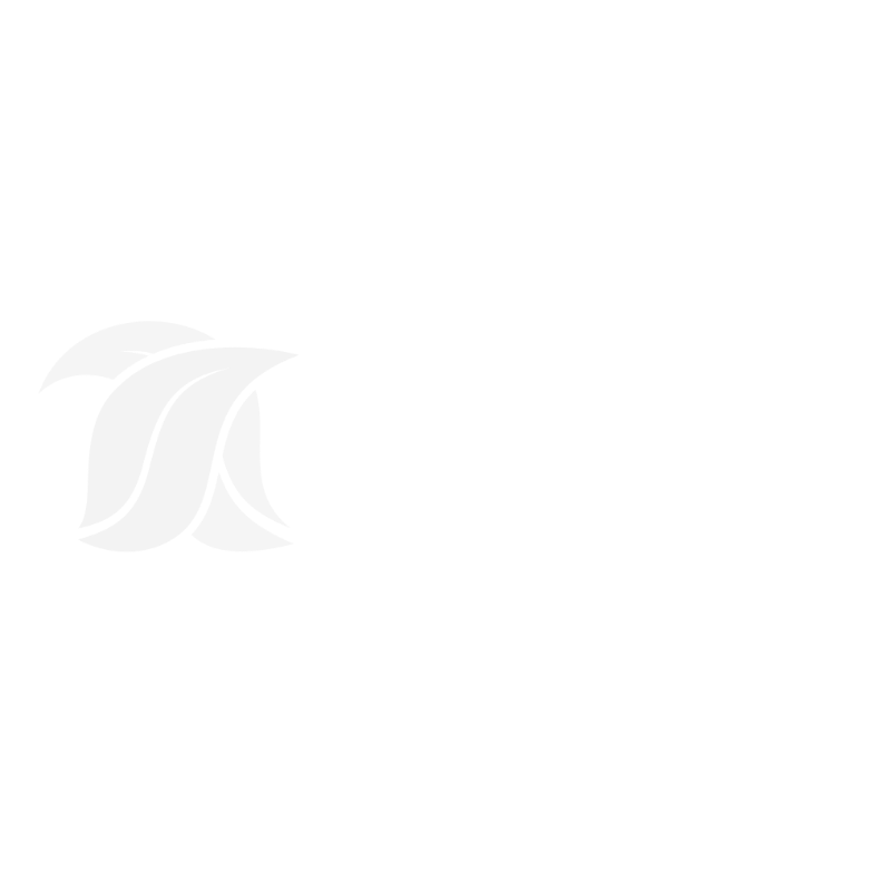 Editora Aromas da Terra